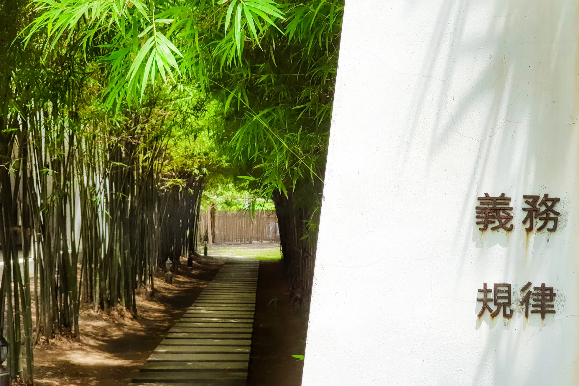 Dhamma Articles